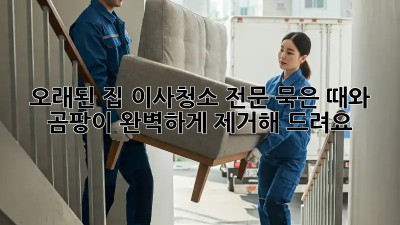 오래된 집 이사청소 전문: 묵은 때와 곰팡이, 완벽하게 제거해 드려요!